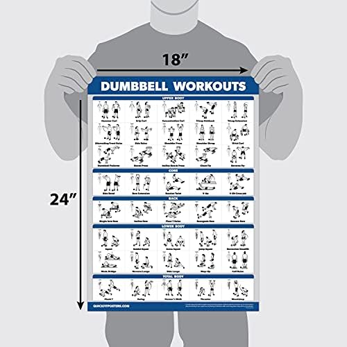 QuickFit Übungsposter-Set, Hantel-Volumen 1 & 2, Suspension, Kugelhantel, Widerstandsbänder, Stretch