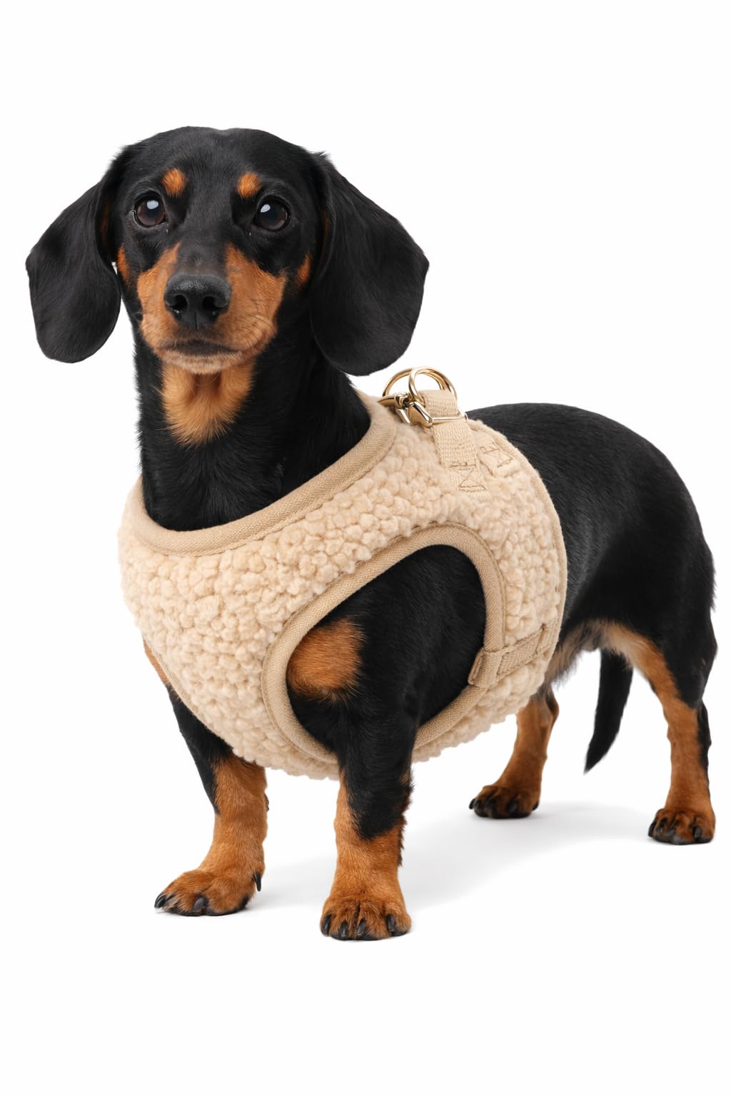Flamingo Step&Go Hundegeschirr Pookie – Beige – Grösse M (A: 30–35cm, B: 41–44cm, 5mm) – Weiches Fle