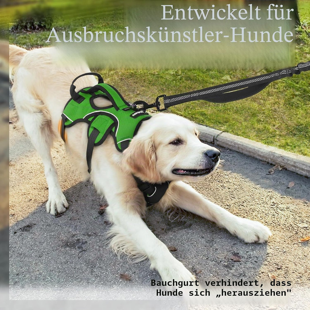 rabbitgoo Ausbruchsichere Hundegeschirr Mittelgrosse Hunde mit Grosse Griff, Anti Zug Sicherheitsges
