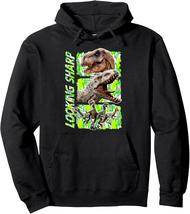 Jurassic World Looking Sharp Panels Pullover Hoodie