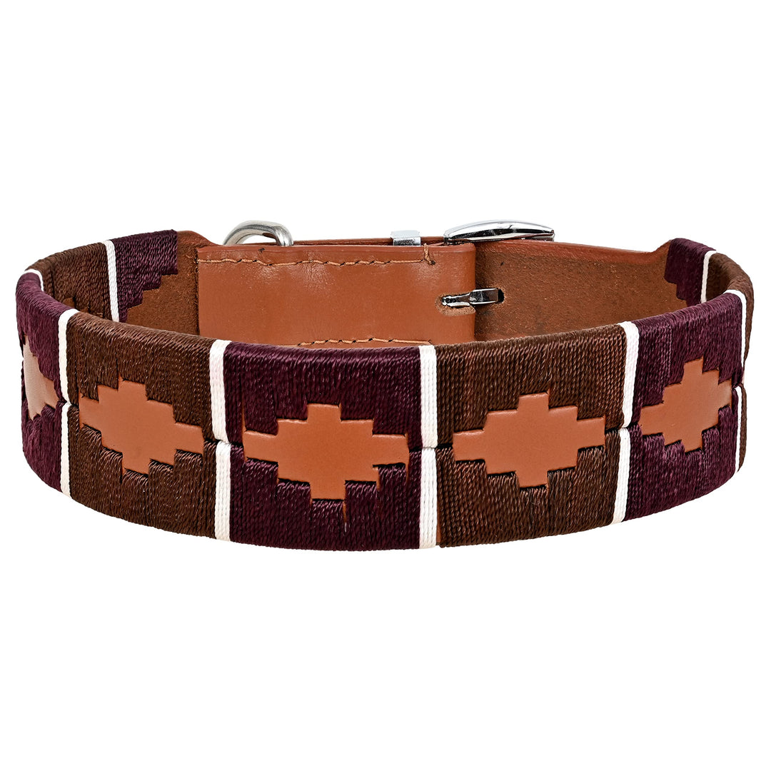 MICHUR Pippa Braun Blau Türkis Baumwollgarn Hundehalsband Leder, Lederhalsband Hund, Halsband, Leder