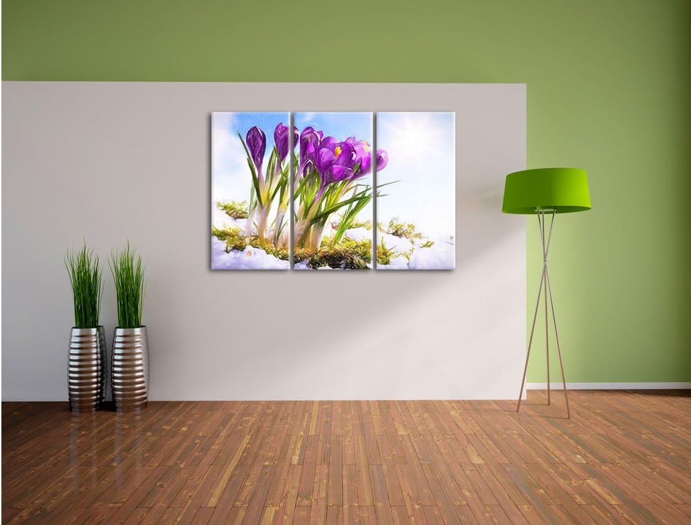 Pixxprint Kunst Frühling florwer Hintergrund / 3-Teilig/Gesamtmass 120cm Leinwandbild bespannt auf H