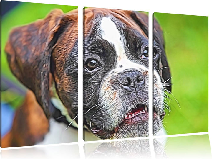 Deutscher Boxer Welpe im Gras NewArt 3-Teiler Leinwandbild 120x80 Bild auf Leinwand, XXL riesige Bil