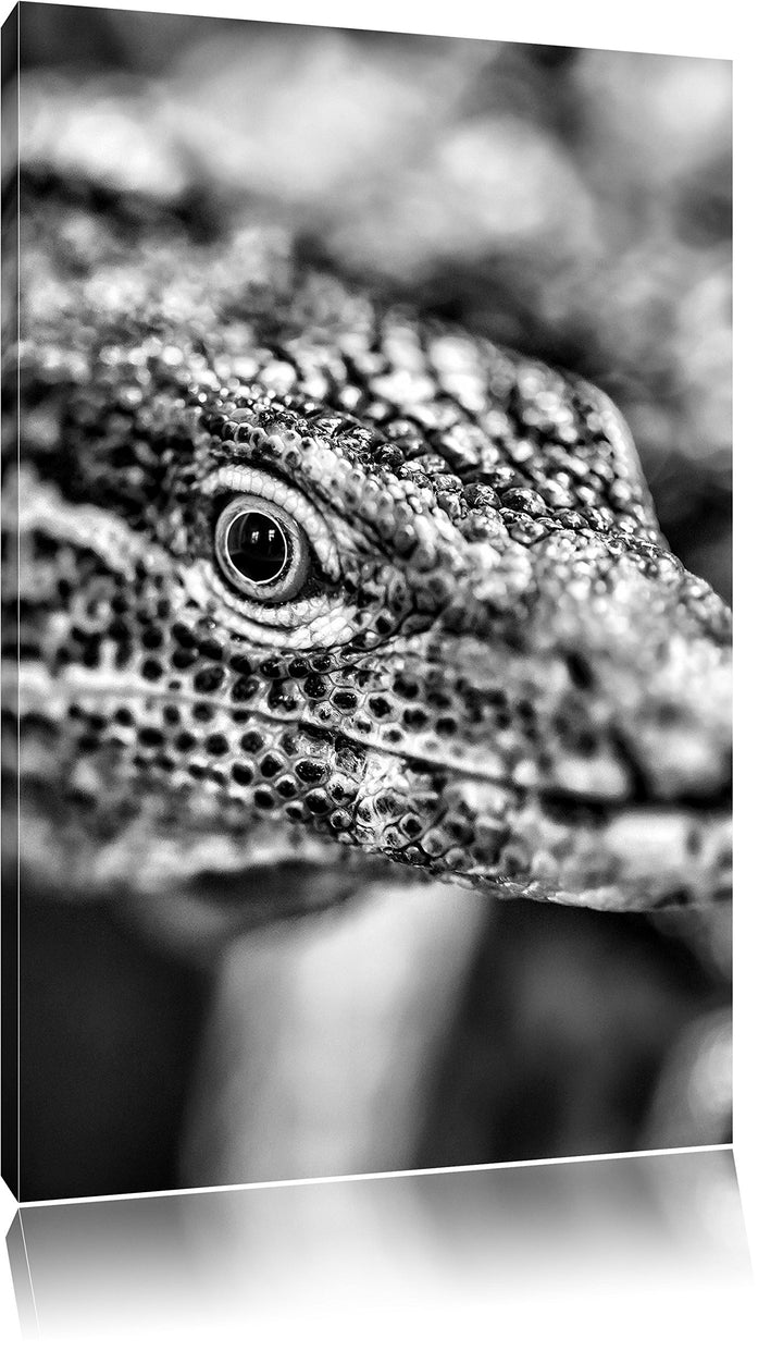 Pixxprint Monocrome, farbenfroher Waran, Format: 100x70 auf Leinwand, 100x70