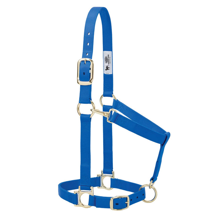 Weaver Leather Basic verstellbares Halfter blau Large Horse, blau Large Horse