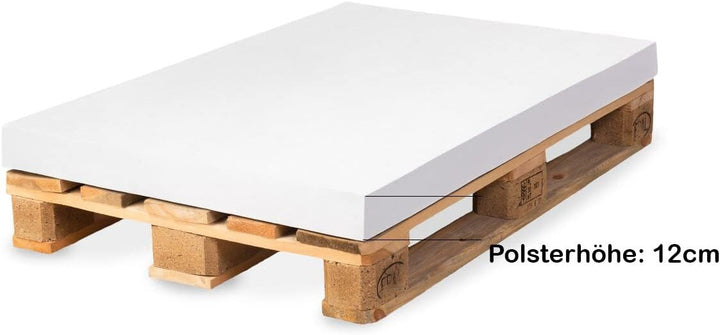 TexDeko® Palettenkissen 120 x 80 x 12cm Wasser-& schmutzabweisend Abnehmbarer Bezug mit Reissverschl