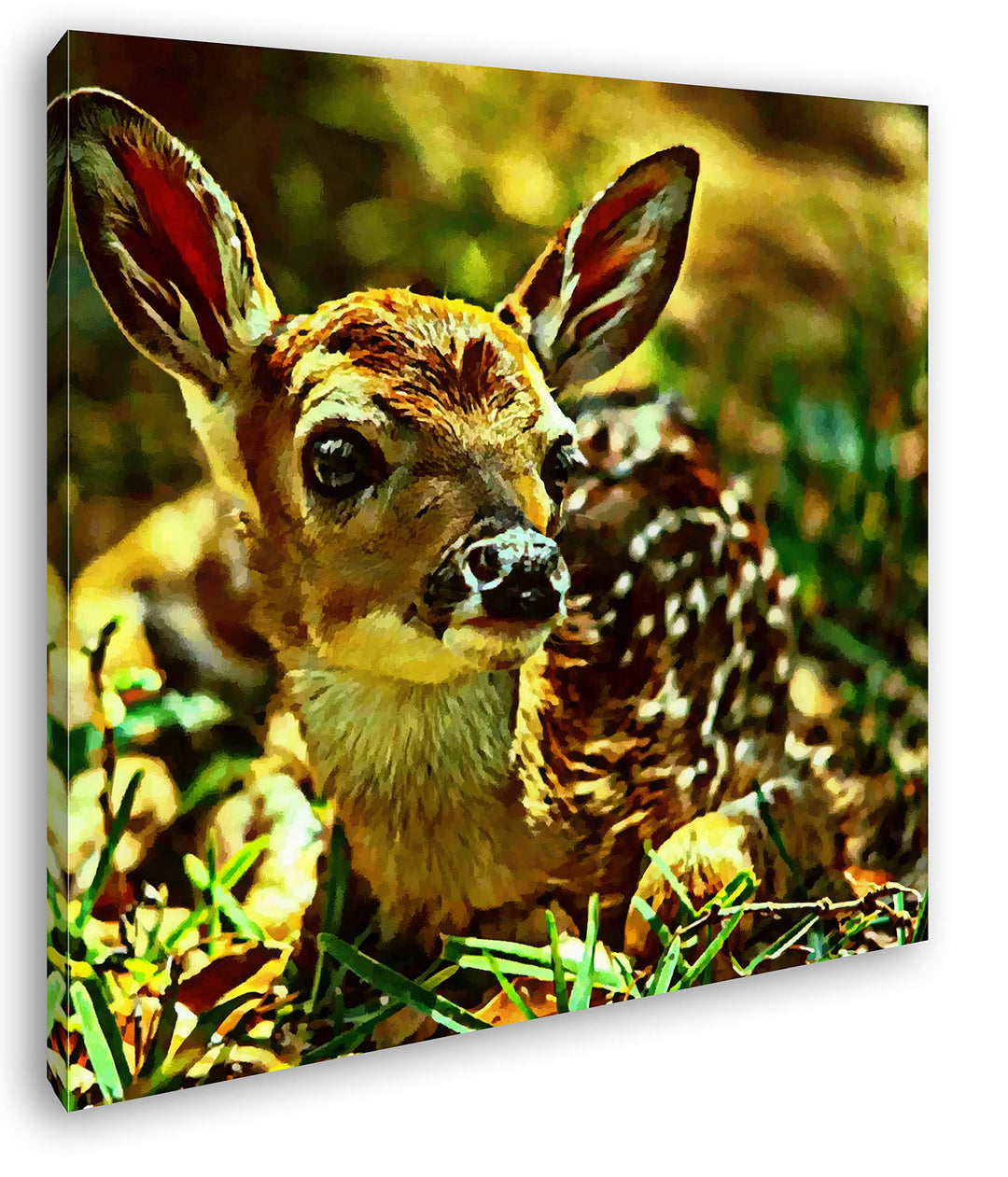 deyoli Niedliches Rehkitz im Wald Format: 70x70 Effekt: Zeichnung als Leinwandbild, Motiv auf Echtho