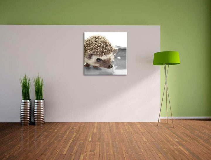 Pixxprint Kleiner süsser Igel als Leinwandbild/Grösse: 70x70 cm/Wandbild/Kunstdruck/fertig bespannt,