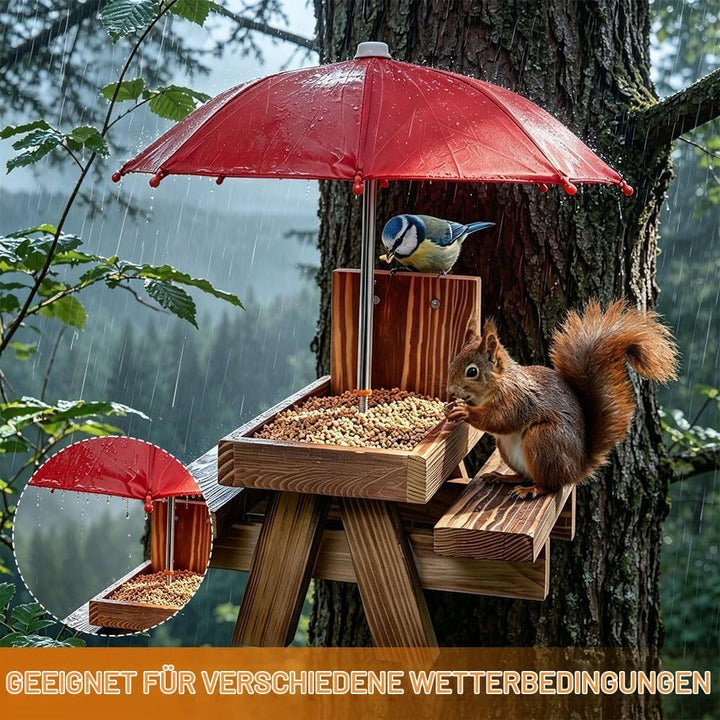 Eichhörnchen Futterhaus Wetterfest