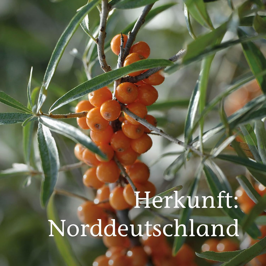 PRIMAVERA Pflegeöl Sanddornfruchtfleischöl bio 30 ml – naturreine Pflanzenkraft – Glasflasche – Arom