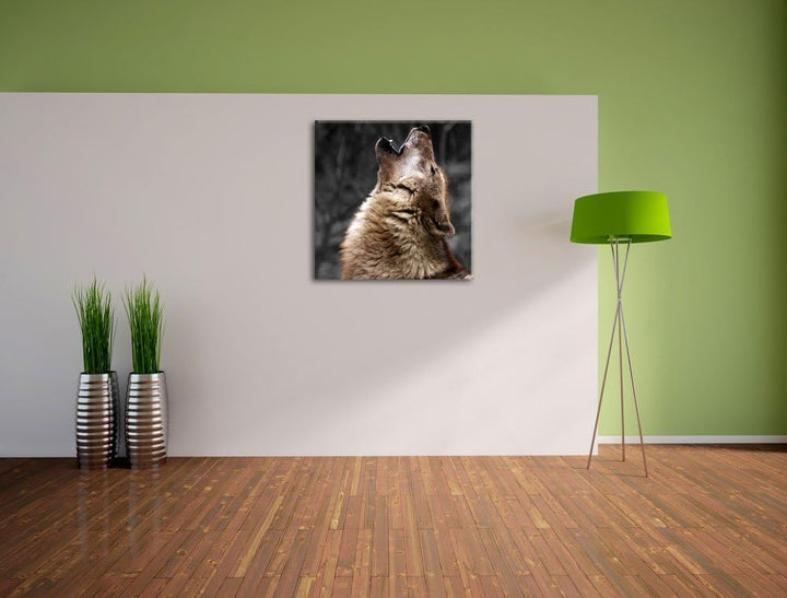 Pixxprint Anmutiger Heulender Wolf schwarz/weiss, Format: 70x70 auf Leinwand, 70x70
