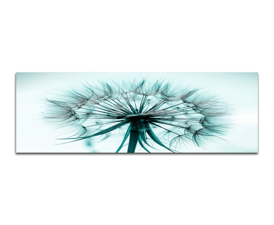 Paul Sinus Art Panoramabild auf Leinwand und Keilrahmen 120x40cm Pusteblume Löwenzahn Grossaufnahme