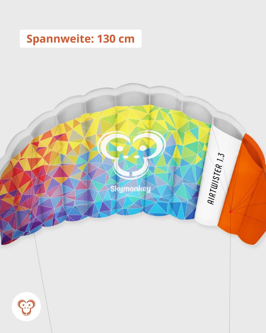 Skymonkey Airtwister Lenkmatte inkl. Packsack & Flugschlaufen - Lenkdrachen bereits fertig angeleint