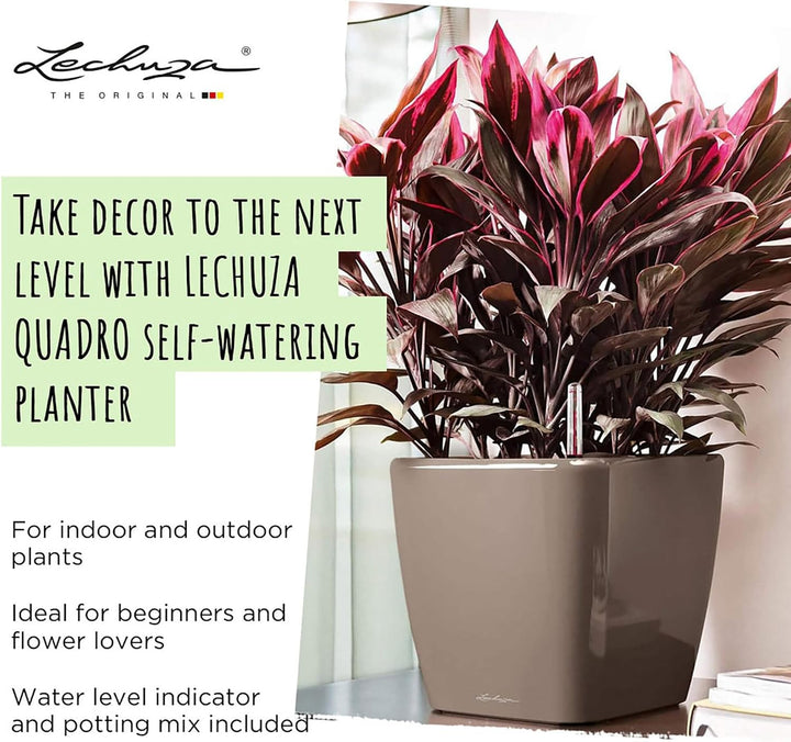 LECHUZA QUADRO Premium LS 28 anthrazit metallic 16143 28x28x26 cm Anthrazit Metallic, 28x28x26 cm An