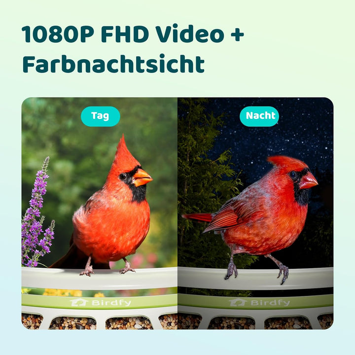 Birdfy Metall Vogelfutterhaus mit Kamera zur Live-Vogelbeobachtung, KI Vogelerkennung ohne ABO, 1080