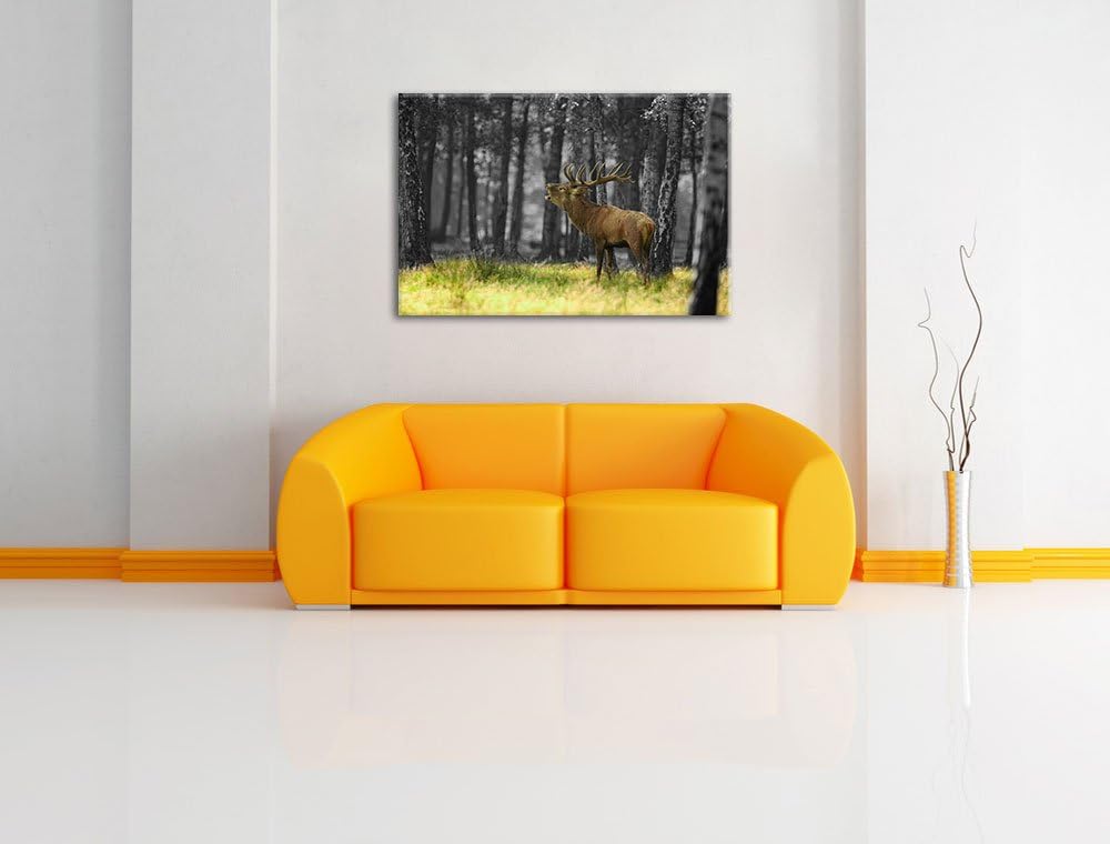 röhrender Hirsch im Wald schwarz/weiss Format: 100x70 auf Leinwand, XXL riesige Bilder fertig gerahm