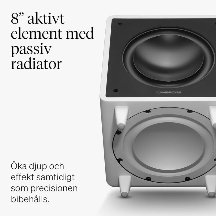 Cambridge Audio MSX SUB 300 - Aktiver Subwoofer 300W Leistungsstarker HiFi Bass Lautsprecher mit Dop