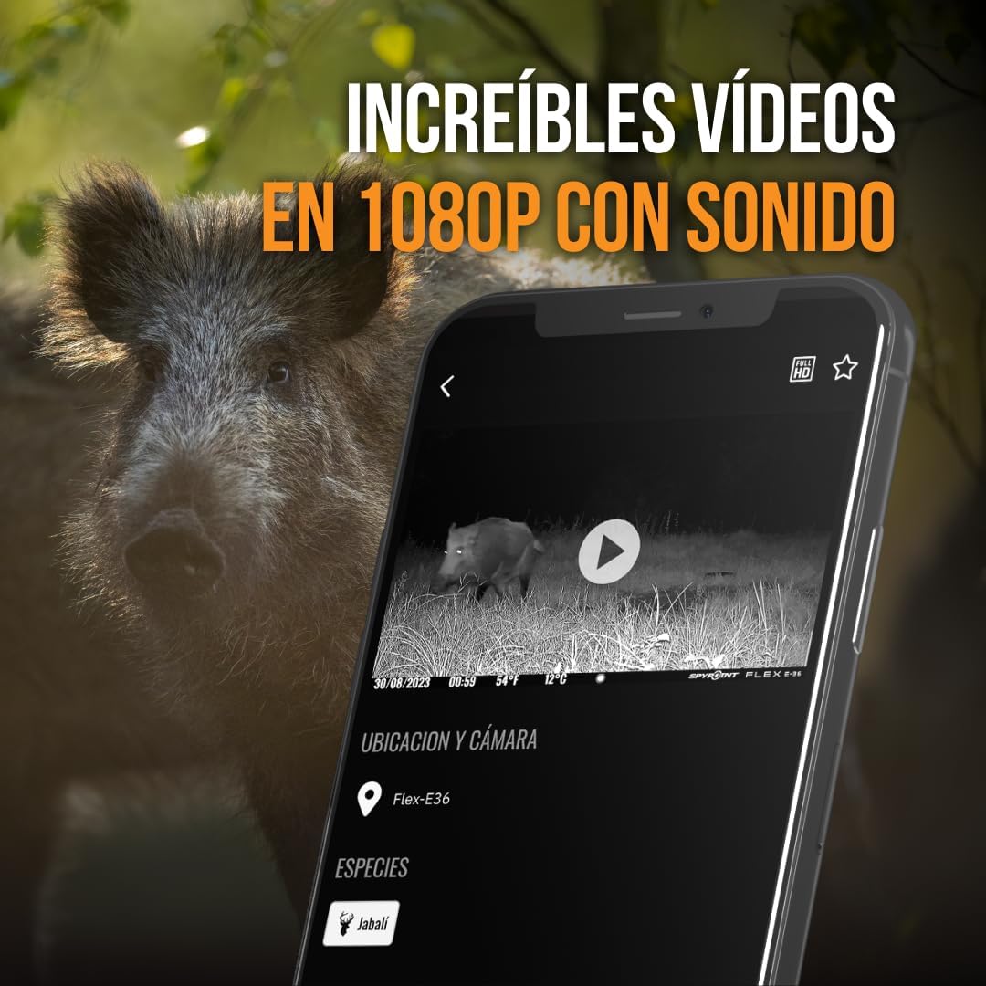 SPYPOINT Flex E-36: Wildkamera mit Videoübertragungen, inkl. SIM-Karte, 16GB SD-Karte und Batterien,