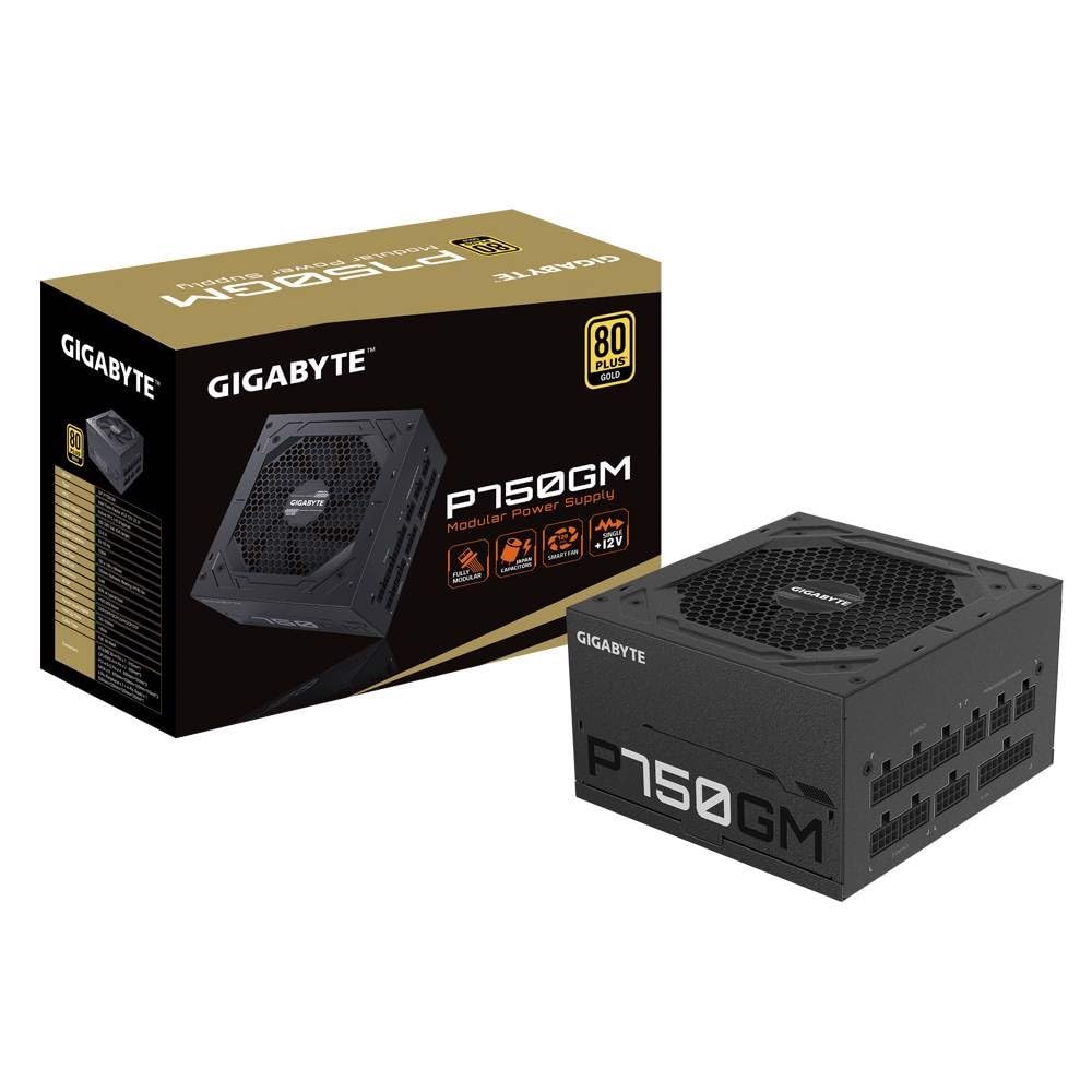 Netzteil Gigabyte 750W P750GM, GP-P750GM, schwarz, Einheitsgrösse