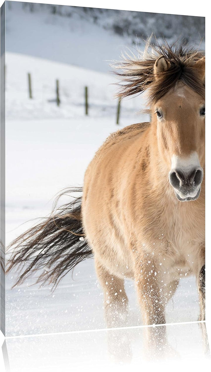 Pferd im Schnee, Format: 100x70 auf Leinwand, XXL riesige Bilder fertig gerahmt mit Keilrahmen, Kuns