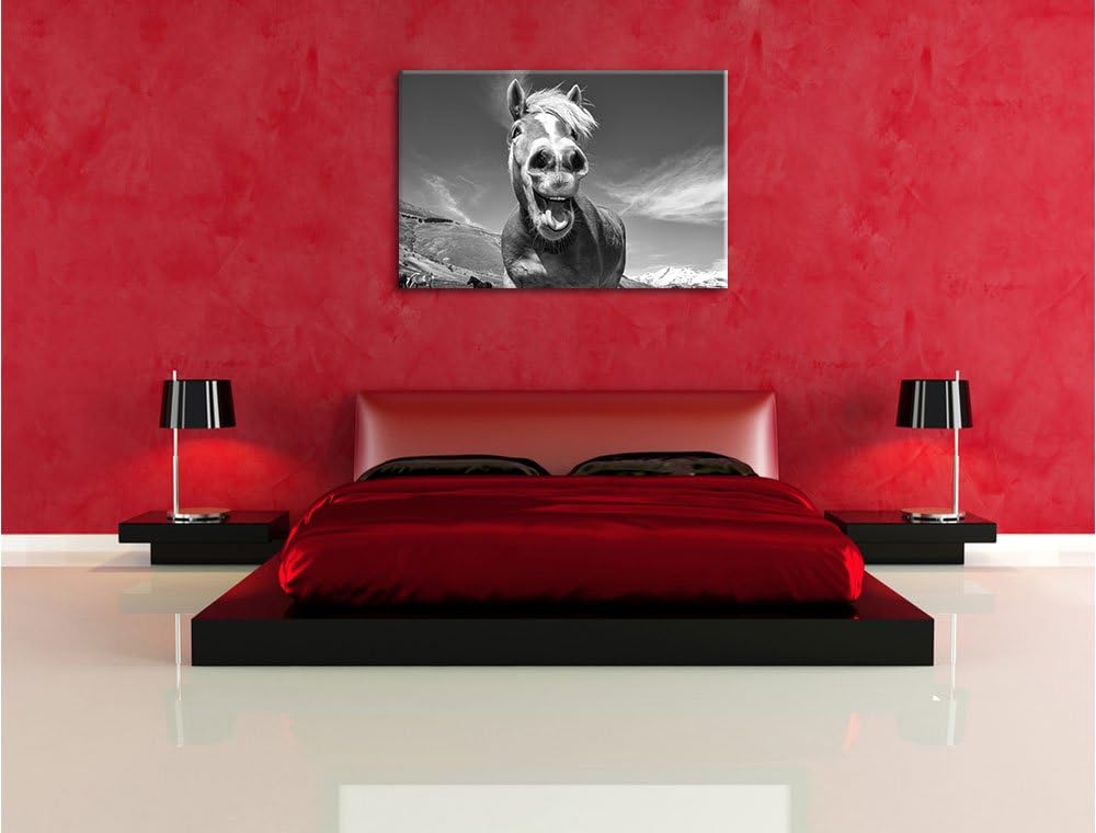 Pixxprint Pferd in der Natur als Leinwandbild/Grösse: 100x70 cm/Wandbild/Kunstdruck/fertig bespannt,