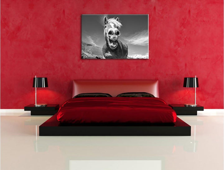 Pixxprint Pferd in der Natur als Leinwandbild/Grösse: 100x70 cm/Wandbild/Kunstdruck/fertig bespannt,
