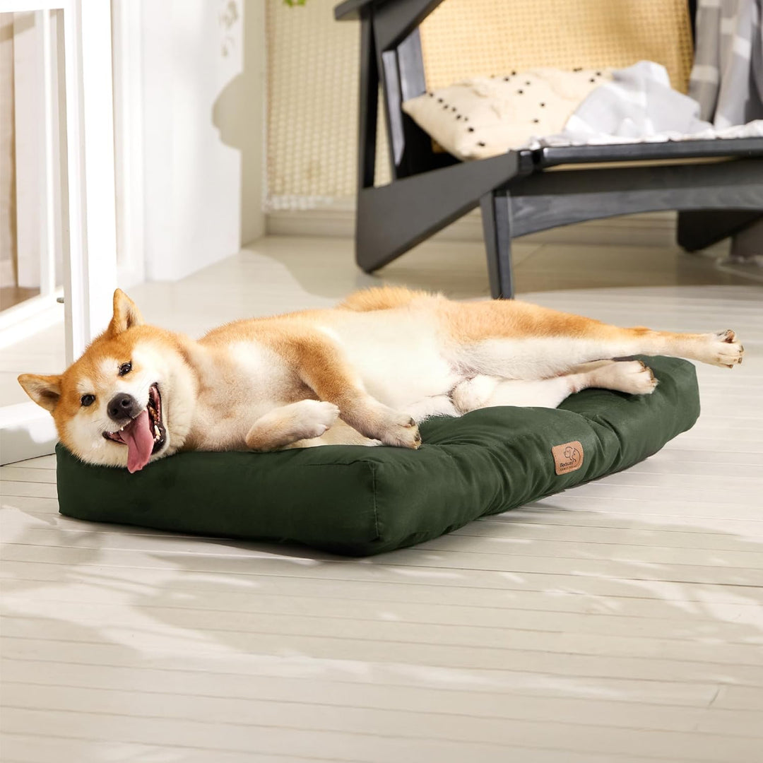 BEDSURE Hundekissen kleine Hunde waschbar - 76x50cm hundematratze wasserdicht M für kleine, mittelgr