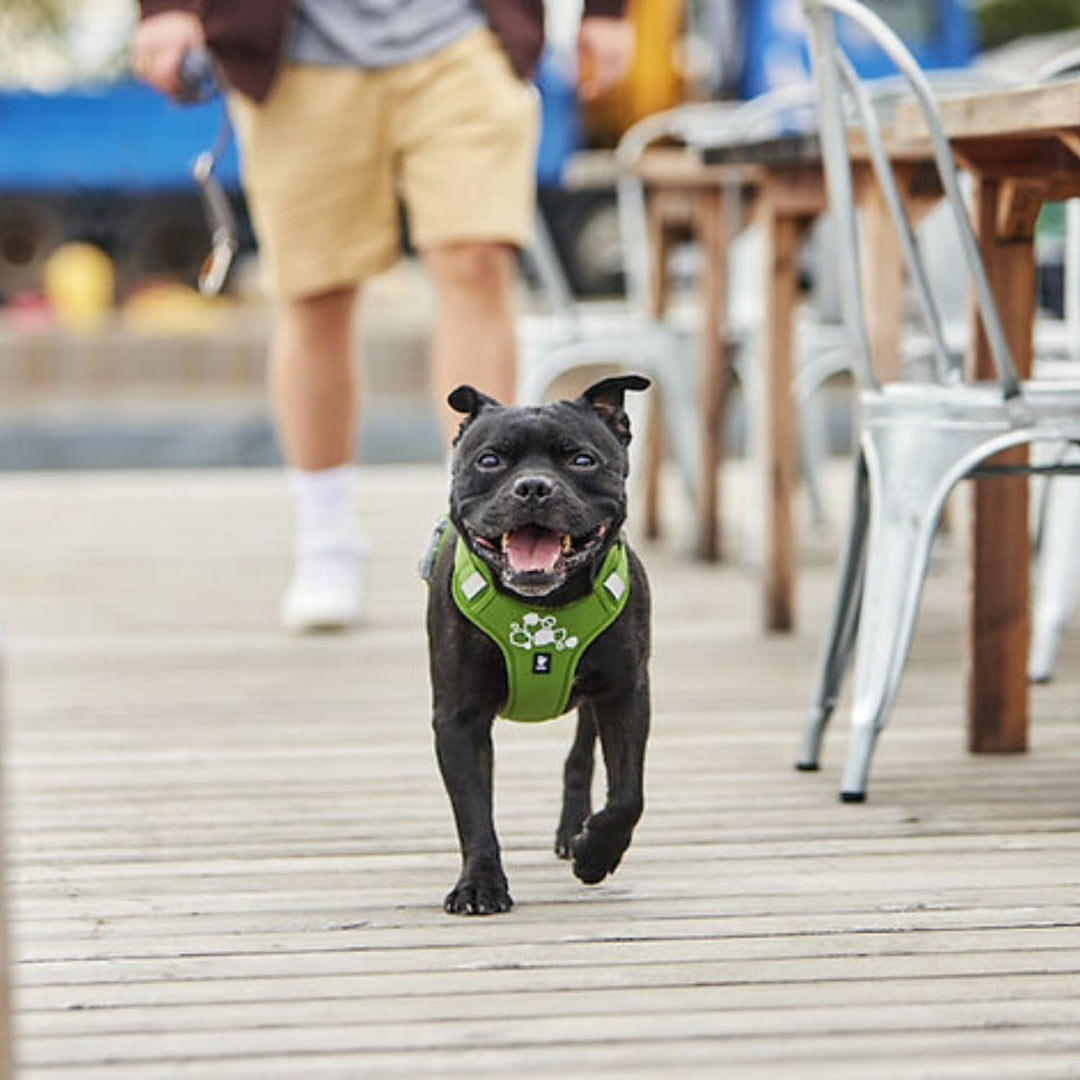 Hurtta Weekend Warrior Hundegeschirr II ECO (Parsley, 65-80 cm) parsley 65-80 cm, parsley 65-80 cm