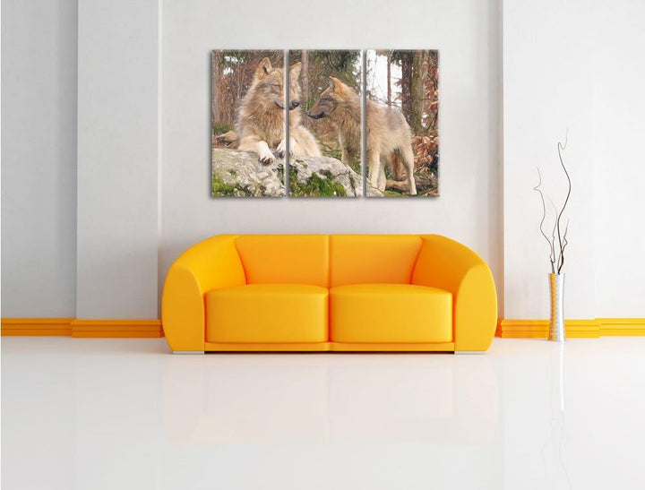 Pixxprint Wölfe im Wald als Leinwandbild/Grösse: 3 Teilig (120x80) / Wandbild/Kunstdruck/fertig besp