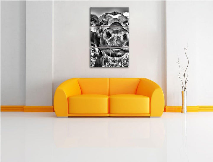 Pixxprint Monocrome, Süsse Alpen Kuh auf Bergwiese 3-Teiler Leinwandbild 120x80 Bild auf Leinwand