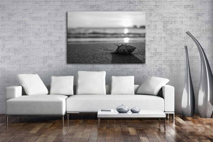 deyoli einzelne Muschel am Strand Effekt: Schwarz/Weiss Format: 80x60 als Leinwand, Motiv fertig ger