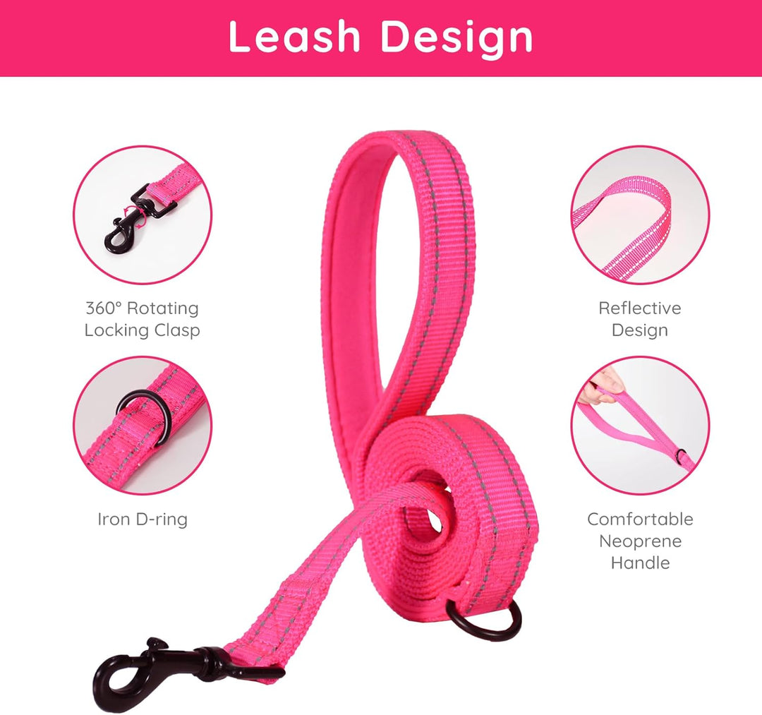 BELLA & PAL Hundegeschirr Kleine Hunde mit Leine, Step-in Geschirr aus Air Mesh, Anti Zug Reflektier