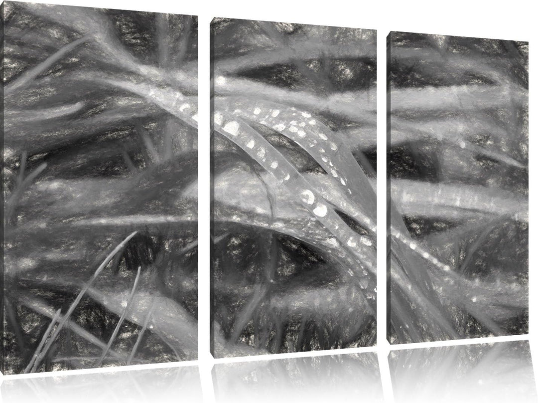 Pixxprint Grashalme Kohle Effekt 3-Teiler Leinwandbild 120x80 Bild auf Leinwand