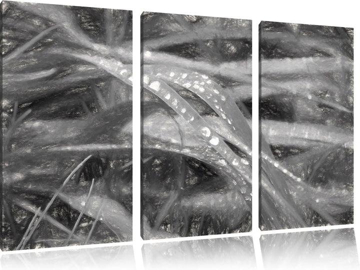 Pixxprint Grashalme Kohle Effekt 3-Teiler Leinwandbild 120x80 Bild auf Leinwand