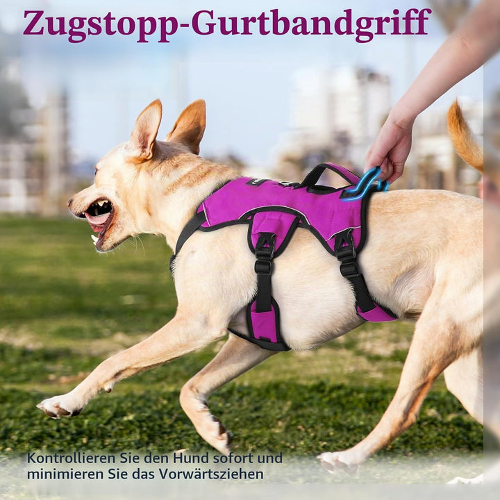 rabbitgoo Ausbruchsichere Hundegeschirr Grosse Hunde mit Griff, Anti Zug Sicherheitsgeschirr Hund At