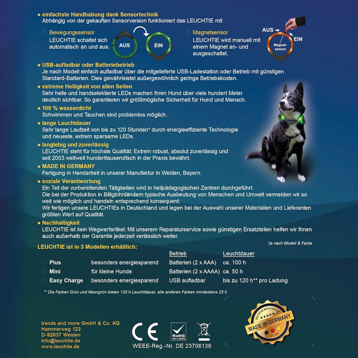 LEUCHTIE® Leuchthalsband Plus türkis Grösse 40 I LED Halsband für Hunde I 100 h Leuchtdauer I wasser