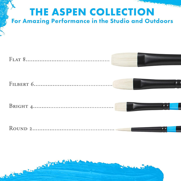 Princeton Tec ASPEN, Series P6500, Pro Set mit 4 Pinseln Gr. 4 Set, Gr. 4 Set