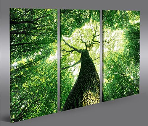 islandburner Bild Bilder auf Leinwand Baumkrone Grün Wald Sonnenstrahlen Bäume 3p XXL Poster Leinwan