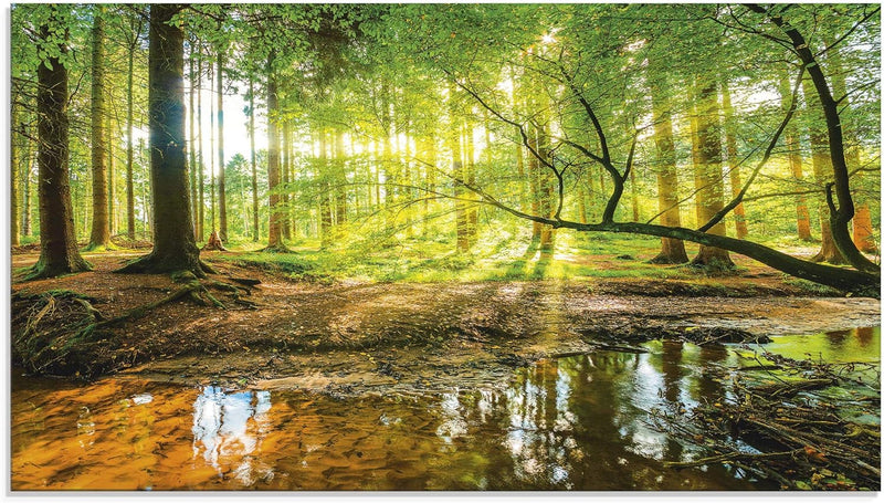 ARTLAND Küchenrückwand Glas mit Motiv Spritzschutz 90x50 cm Wald Natur Bäume Landschaft Sonne Sonnen