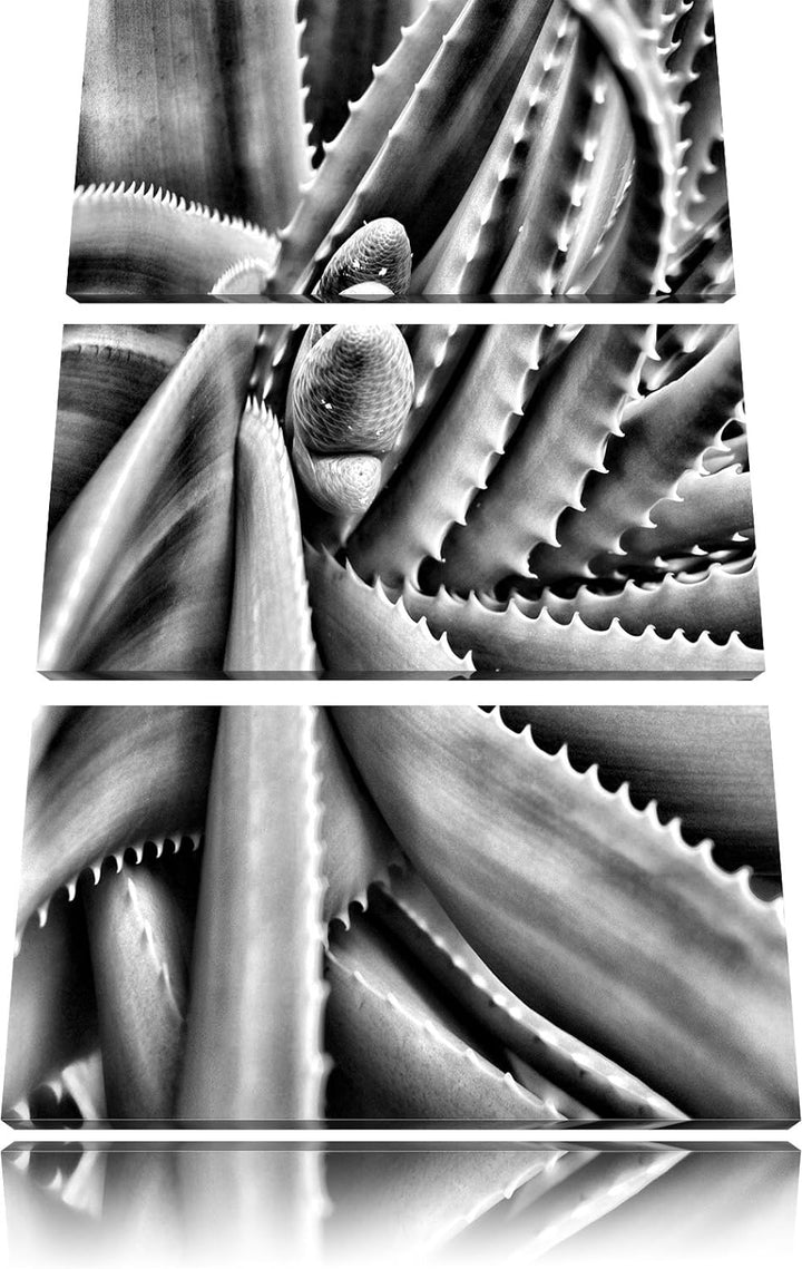 Pixxprint Grüne Pflanze mit Wassertropfen als Leinwandbild/Grösse: 3 Teilig (120x80) cm/Wandbild/Kun