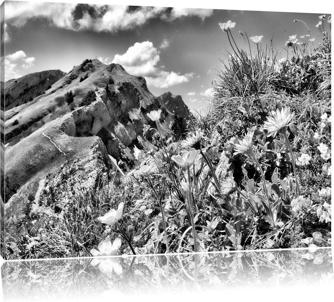 Pixxprint Blumenwiese im Frühling / 100x70cm Leinwandbild bespannt auf Holzrahmen/Wandbild Kunstdruc