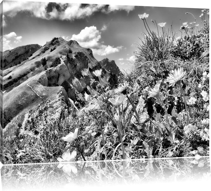 Pixxprint Blumenwiese im Frühling / 100x70cm Leinwandbild bespannt auf Holzrahmen/Wandbild Kunstdruc