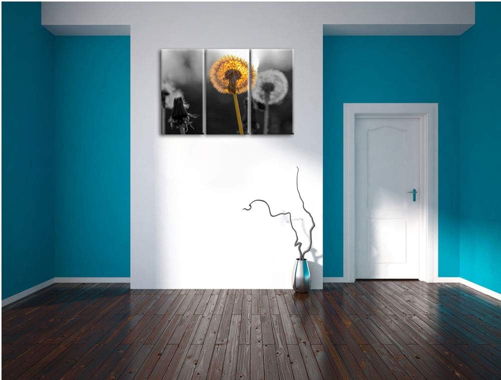 schöne Pusteblumen beim Sonnenuntergang schwarz/weiss 3-Teiler Leinwandbild 120x80 Bild auf Leinwand