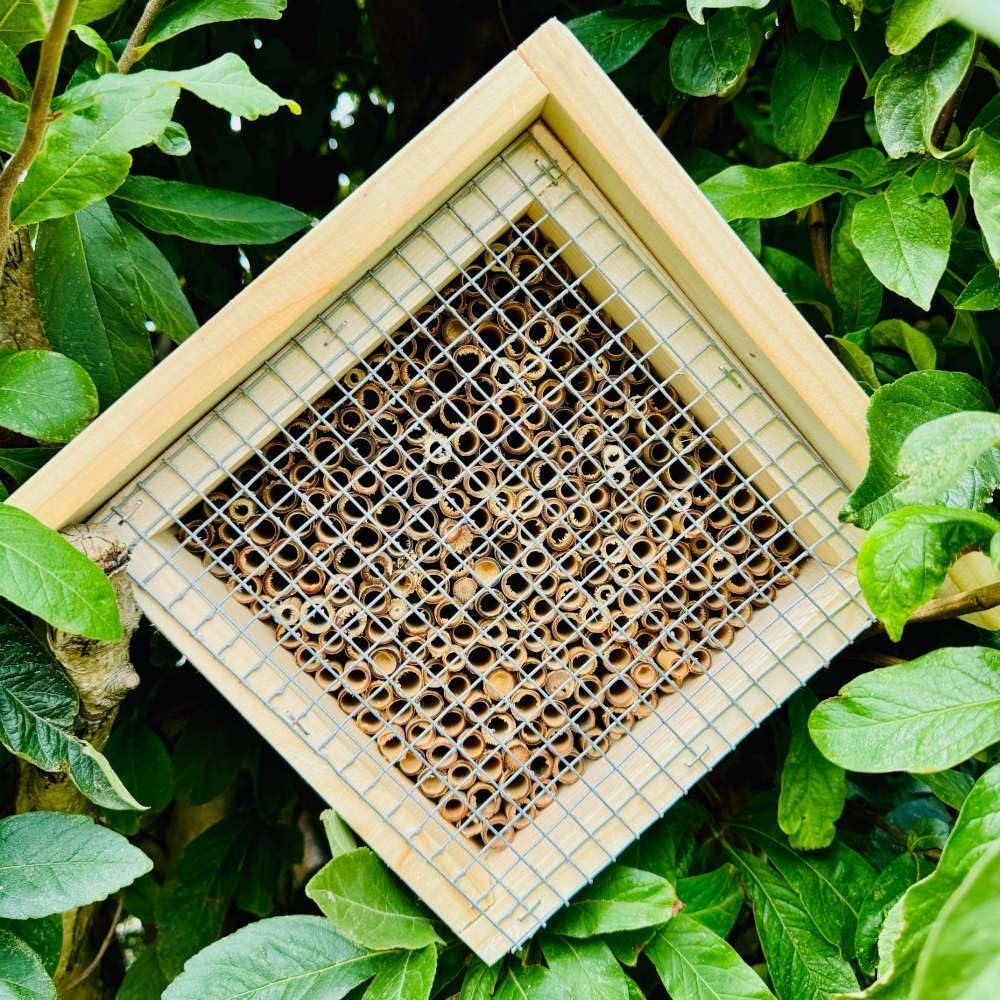 Holz Insektenhotel L Wildbienen-Nisthilfe Rechteckiges Insektenhaus Naturbelassen mit Schutzgitter