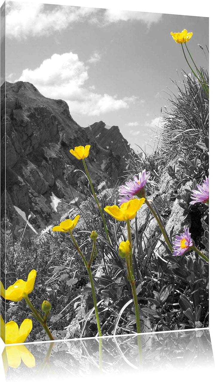 Pixxprint Traumhafte Blumenwiese im Frühling schwarz/weiss, Format: 70x100 auf hochkantiges Leinwand
