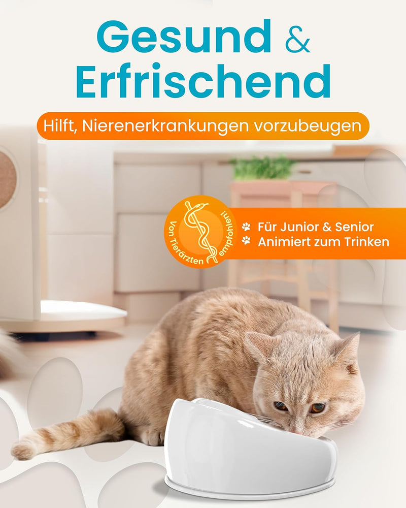 Lucky Kitty Trinkbrunnen für Katze grau I Katzenbrunnen Keramik Handarbeit, hygienisch I Kein Auflad