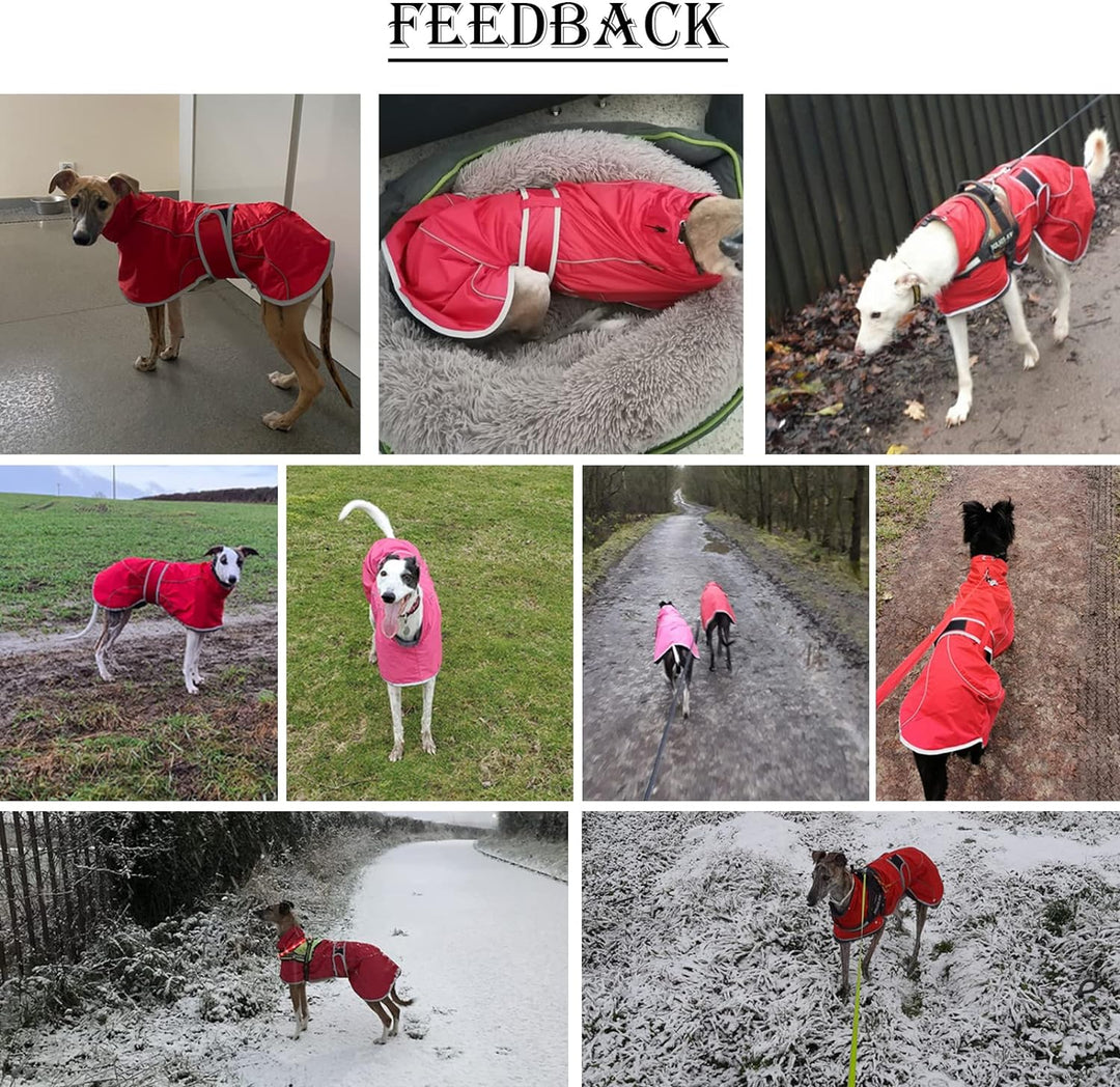 MOREZI Windhund-Wintermantel, Whippet-Mantel mit gepolstertem Fleece-Futter, Wasserabweisende Hundej