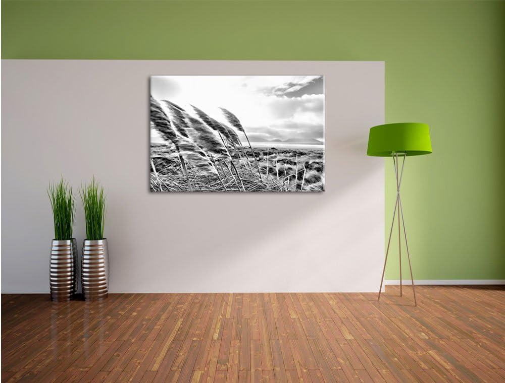 Pixxprint Schönes Schilf in den Dünen als Leinwandbild/Grösse: 100x70 / Wandbild/Kunstdruck/fertig b