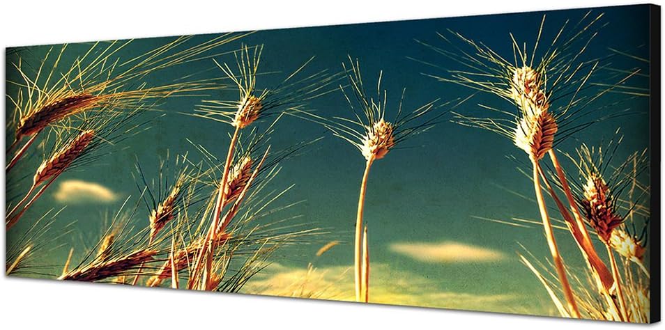 Paul Sinus Art Panoramabild auf Leinwand und Keilrahmen 150x50cm Kornfeld Himmel Grunge