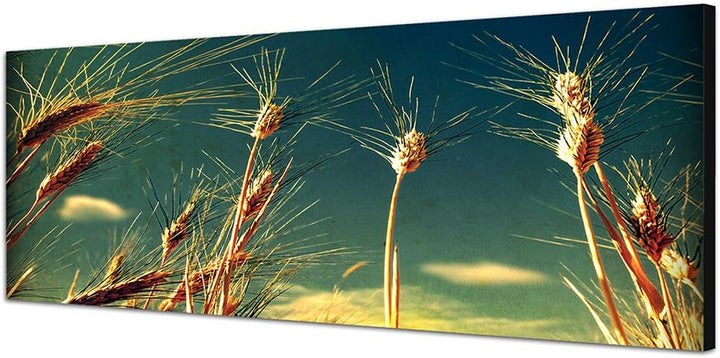 Paul Sinus Art Panoramabild auf Leinwand und Keilrahmen 150x50cm Kornfeld Himmel Grunge